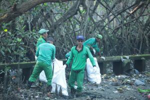 Kerja Bakti Massal Mangrove Bali: Mensos Ajak Masyarakat Peduli Lingkungan dari Hal Kecil