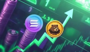 Solana Sudah Naik, BeerBear Token Meme Berbasis Gaming Mengenalkan Diri