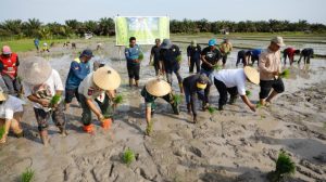 Kementan Tanam Perdana di Kotawaringin Barat: Langkah Nyata Menuju Swasembada Pangan Indonesia!