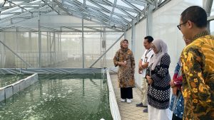 KKP Dorong Pengembangan Bio Farmakologi Laut untuk Industri Kesehatan dan Kosmetik! Temukan Potensinya di Sumber Daya Laut Indonesia