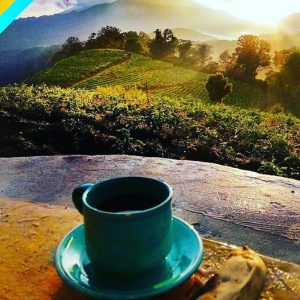 Menelusuri Keindahan Alam Brebes: Pesona Alam Tersembunyi