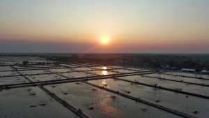 KKP Percepat Revitalisasi Tambak Pantura