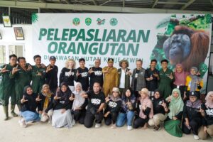 6 Orangutan Kembali ke Alam Liar di Hari Bumi