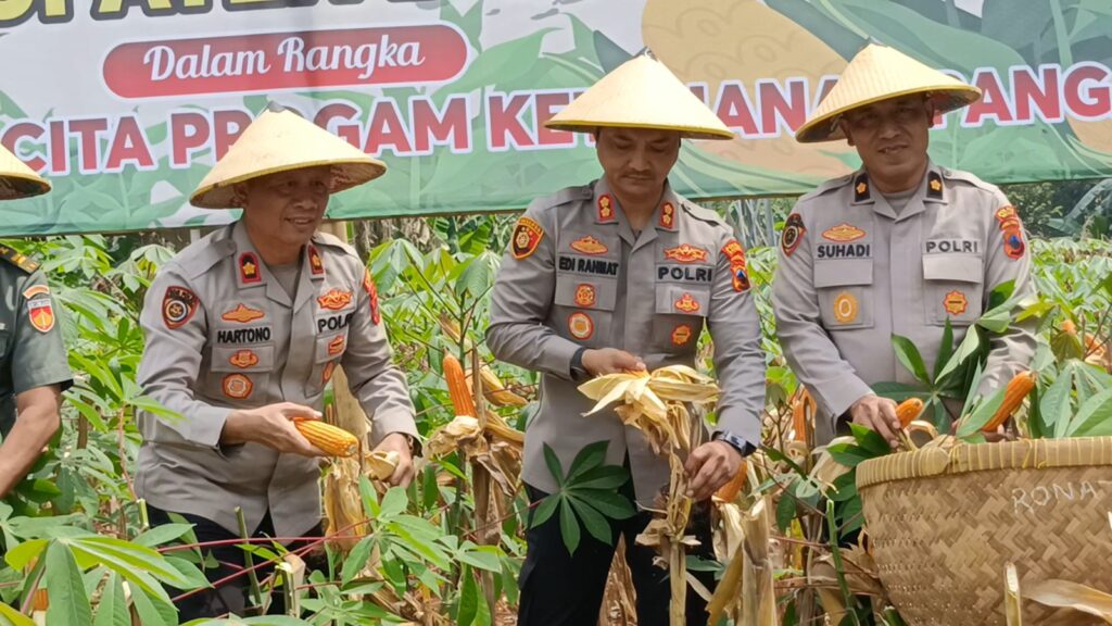 Panen Raya Jagung di Subah, Polres Batang Siap Salurkan ke Bulog