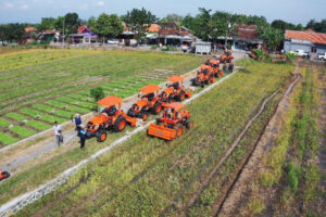 Percepatan Tanam Serempak, Langkah Strategis Kementan Menuju Swasembada Pangan Nasional