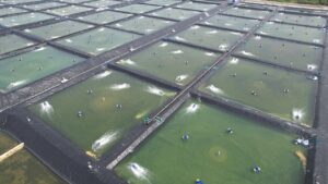 Anak Muda Jadi Kunci Inovasi Budidaya Perikanan Berkelanjutan