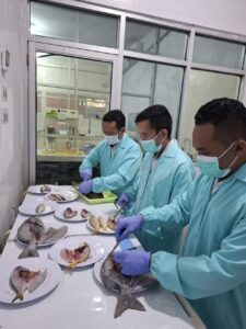 KKP Ingatkan Bahaya Konsumsi Ikan dari Destructive Fishing