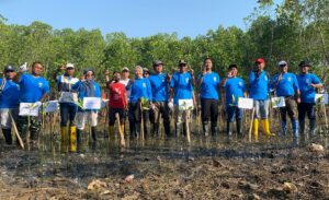 Lawan Abrasi, Batang Genjot Penanaman Mangrove di Pesisir Sigandu
