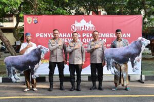 Polda DIY Salurkan 41 Hewan Kurban Idul Adha 1446 H untuk Warga, Ponpes & Panti Asuhan