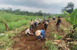 Petani Batang Dapat Bimtek Budidaya Tembakau, Siap Tingkatkan Produktivitas