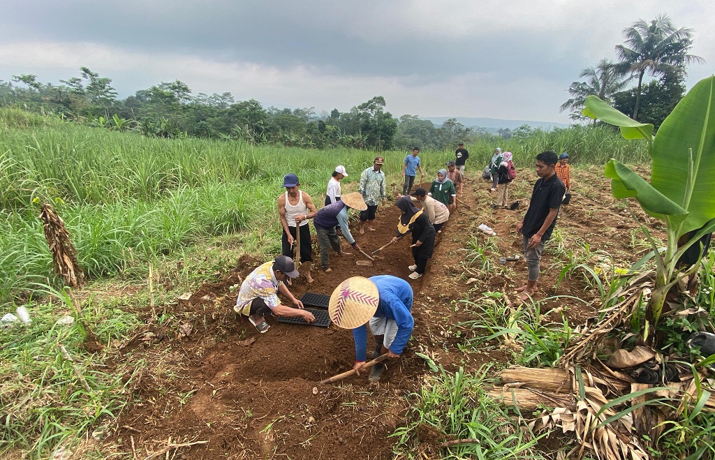 Petani Batang Dapat Bimtek Budidaya Tembakau, Siap Tingkatkan Produktivitas