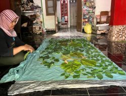 Dari Boneka Jari ke Eco-Print Fashion, Rusty Craft Sleman Tampil Berdaya dan Berkelanjutan