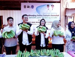 Cold Storage Pisang Lumajang Resmi Dibuka, Siap Tembus Pasar Ekspor