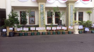 Hari Jadi ke-732, Tuban Terima Ratusan Tanaman Produktif sebagai Simbol Kepedulian Lingkungan