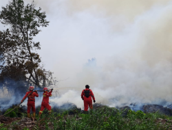 Pemprov Riau Akhiri Status Siaga Karhutla, Fokus Antisipasi Banjir dan Longsor