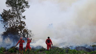 Pemprov Riau Akhiri Status Siaga Karhutla, Fokus Antisipasi Banjir dan Longsor
