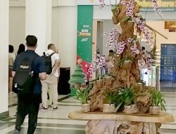 H-1 Natal, KAI Daop 6 Yogyakarta Layani 66 Ribu Penumpang, Tiket Masih TersediaH-1 Natal, KAI Daop 6 Yogyakarta Layani 66 Ribu Penumpang, Tiket Masih Tersedia