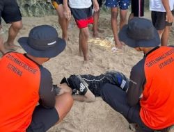 Remaja Wisatawan Alami Kejang Saat Bermain Air di Pantai Indrayanti Gunungkidul