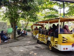 Zoonderland Meriahkan Nataru, Semarang Zoo Tawarkan Hiburan, Musik, dan Edukasi