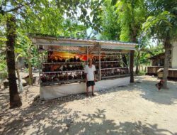 Produksi Telur Program GAYATRI Capai 82 Persen, Dorong Kemandirian Ekonomi Keluarga di Bojonegoro