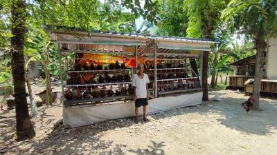 Produksi Telur Program GAYATRI Capai 82 Persen, Dorong Kemandirian Ekonomi Keluarga di Bojonegoro