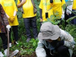 Mahasiswa Jepang Bersama Warga Jogja Tanam Pohon di Lereng Gunung Merapi dan Bersihkan Kali Code