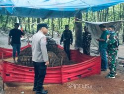 Sinergi TNI-Polri Intensifkan Penertiban Judi Sabung Ayam di Jombang