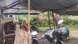 PKL Timur JEC Sampaikan “Jeritan Hati”, Minta Keadilan atas Penggusuran