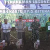 Polres Purworejo Dorong Kemandirian Pangan, Tanam Jagung dan Lindungi Petani Lewat Jaminan Sosial