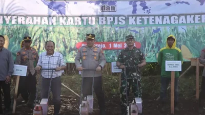 Polres Purworejo Dorong Kemandirian Pangan, Tanam Jagung dan Lindungi Petani Lewat Jaminan Sosial
