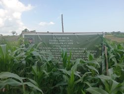 Peninjauan Sengketa Lahan di Pinrang Dinilai Cacat Prosedur, Kuasa Hukum Soroti Kelalaian Aparat